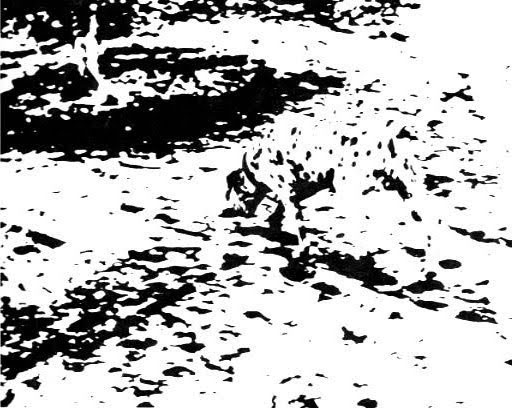 巧用視錯(cuò)覺(jué) UI更有趣